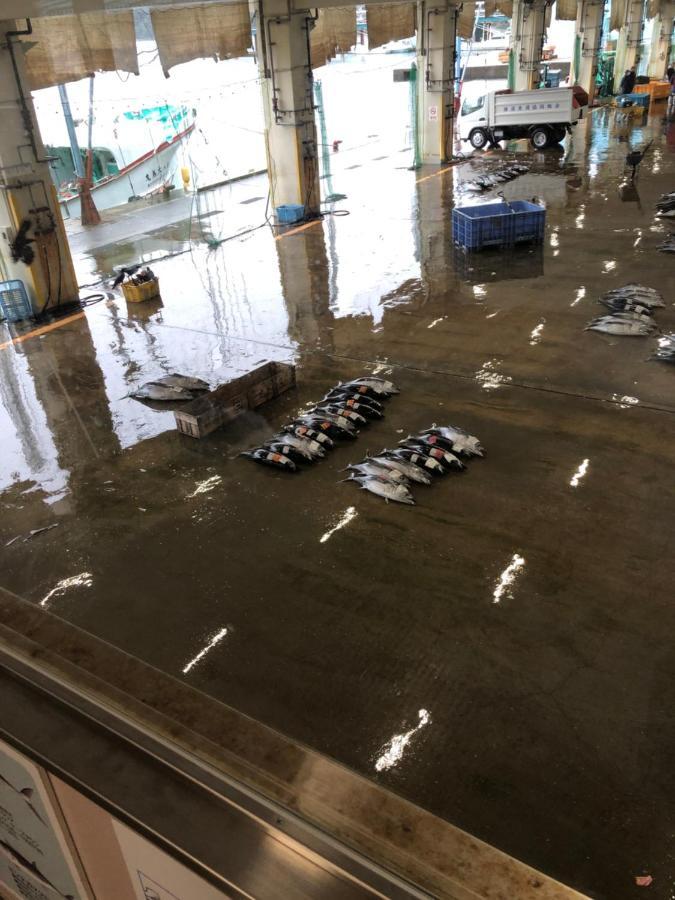 浜の宮七福神 1棟貸し9名様までご利用できます Villa Nachikatsuura Exterior photo